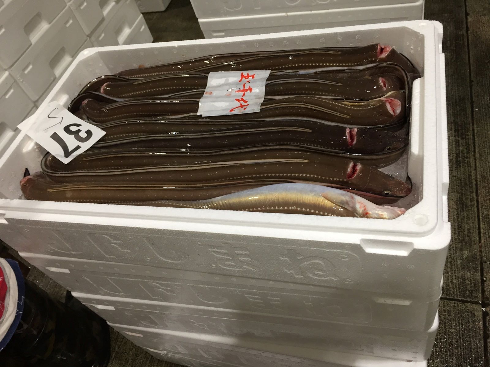 名産地でも選ばれたナンバーワン! 島根沖産あなごの一夜干し3枚セット