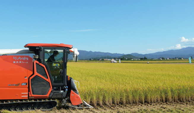 山形県川西町産 荒井農園のつや姫 / 精米