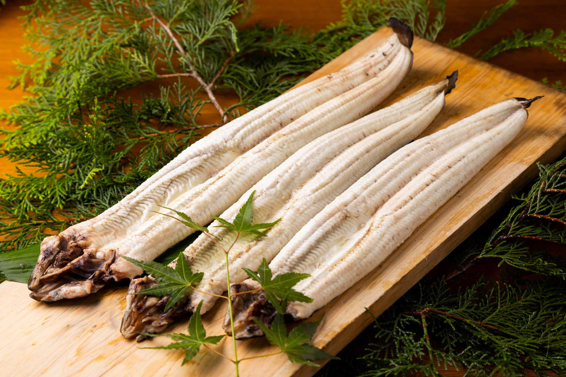 関係者しか味わえない幻の四万十川天然うなぎ 白焼き(有頭)