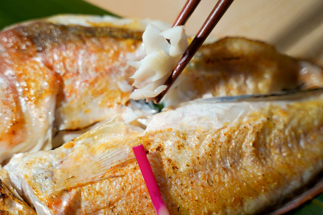 海の宝箱 日本海・島根の海の幸セット