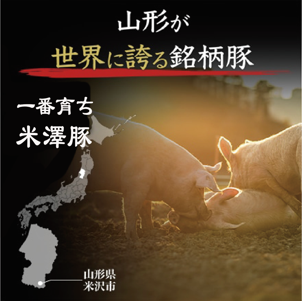 米澤豚一番育ちハンバーグ(80g×5個)