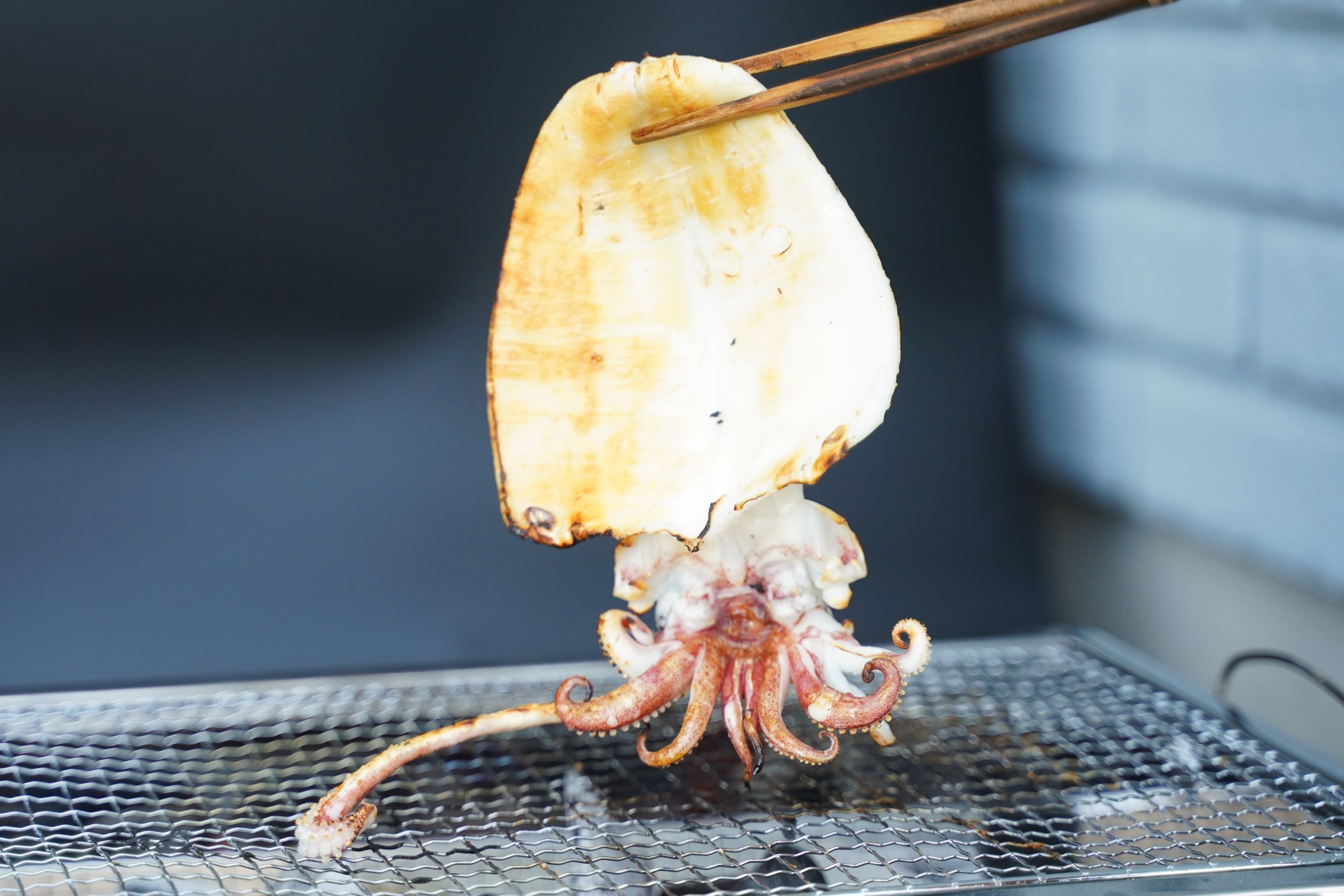 海の宝箱　日本海・島根の海の幸セット