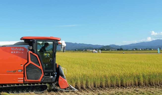 山形県川西町産　荒井農園のつや姫 / 精米