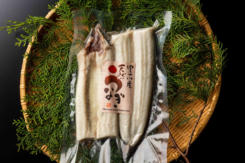 関係者しか味わえない幻の四万十川天然うなぎ　白焼き（有頭）