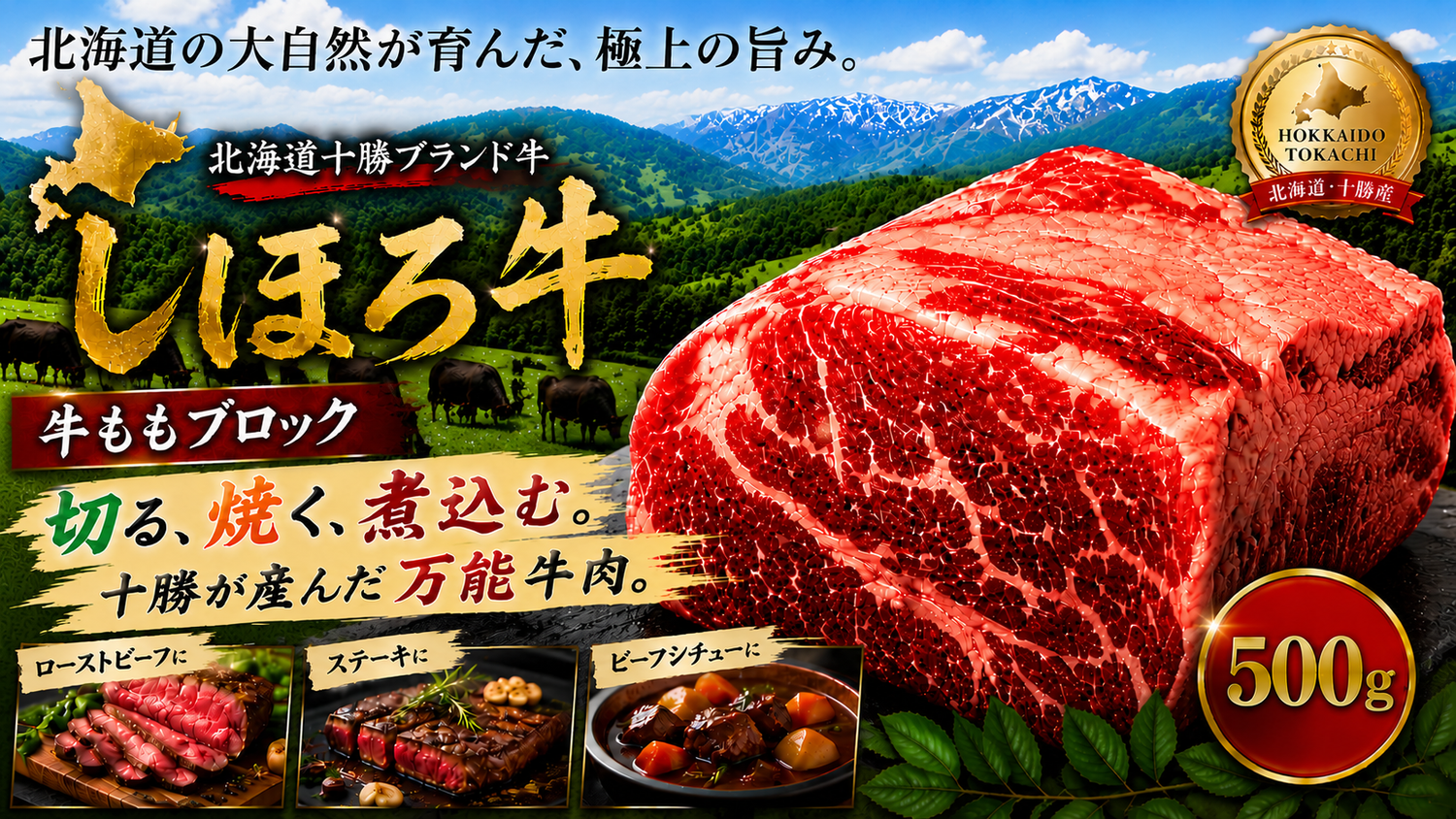 【 北海道 十勝ブランド牛 】しほろ牛 もも ブロック 500g