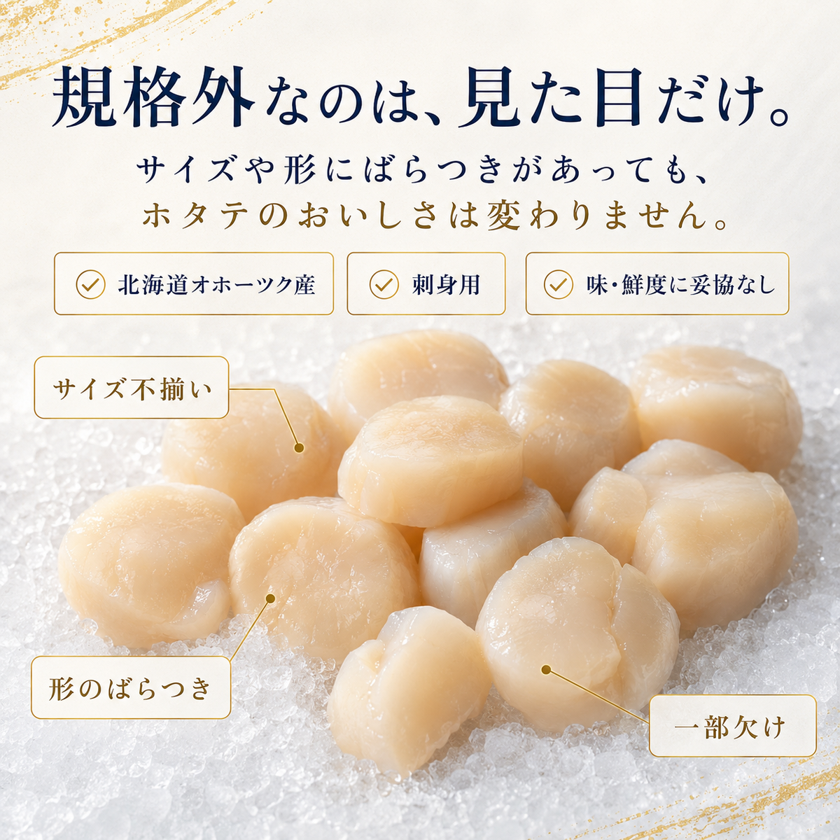 刺身が特に絶品！北海道産ホタテの貝柱500g（規格外品）