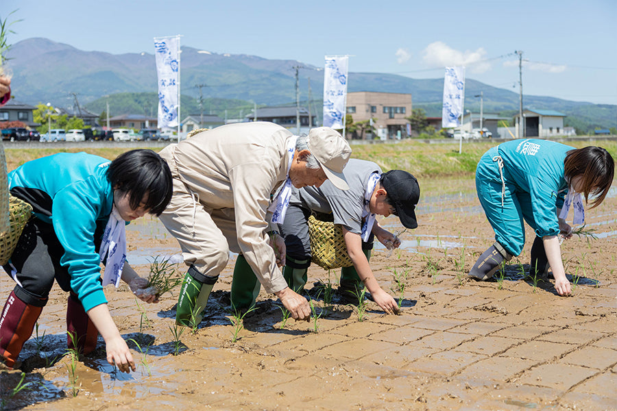 福島県が14年の歳月をかけた新品種「福、笑い」/ 精米