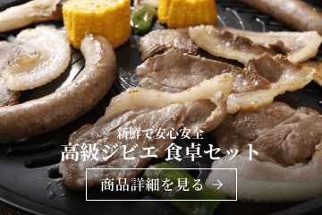 ミニスライド 2