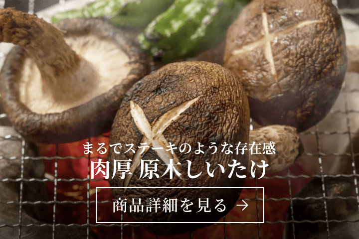 ミニスライド 2