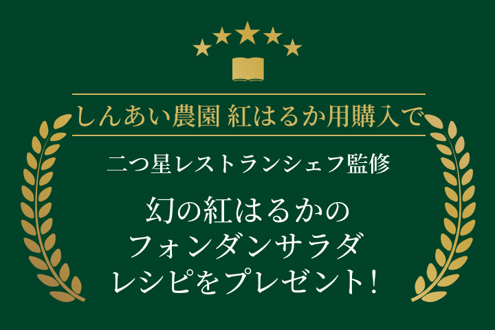 ミニスライド 2