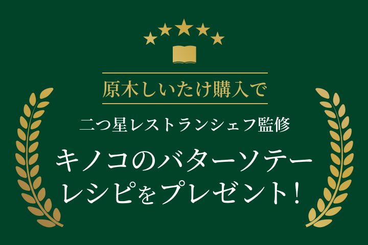 ミニスライド 1